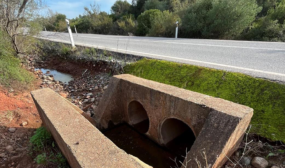 
			      Infraestructura para evitar atropellos de linces ibéricos.			    
			  